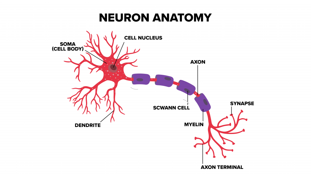 Growth Marketing Agency Deep Learning vs Neural Network.ai 01